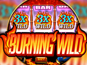 Burning Wild game icon