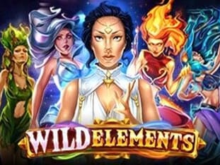 Wild Elements game icon